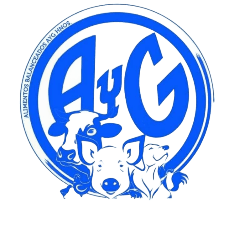 Logo de AYG
