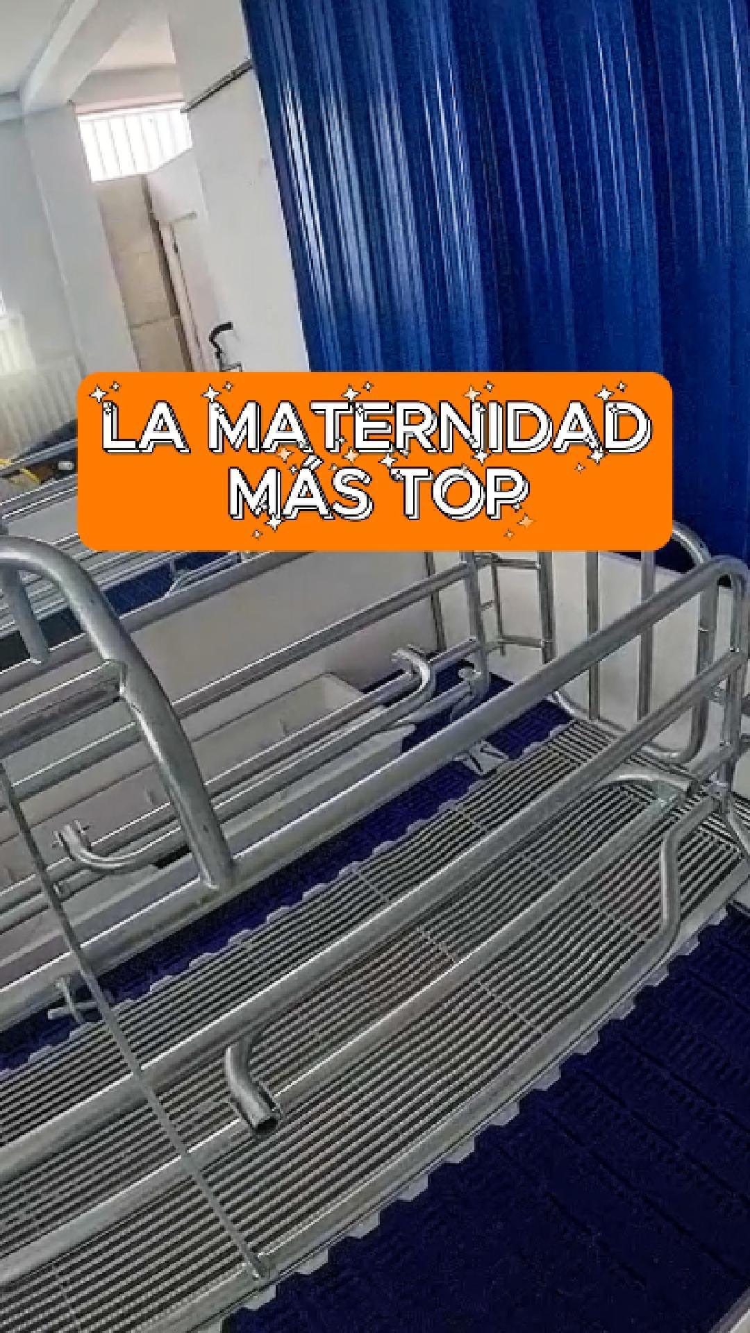 Portada del video: La maternidad más top