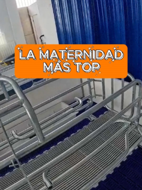 Portada del video: La maternidad más top